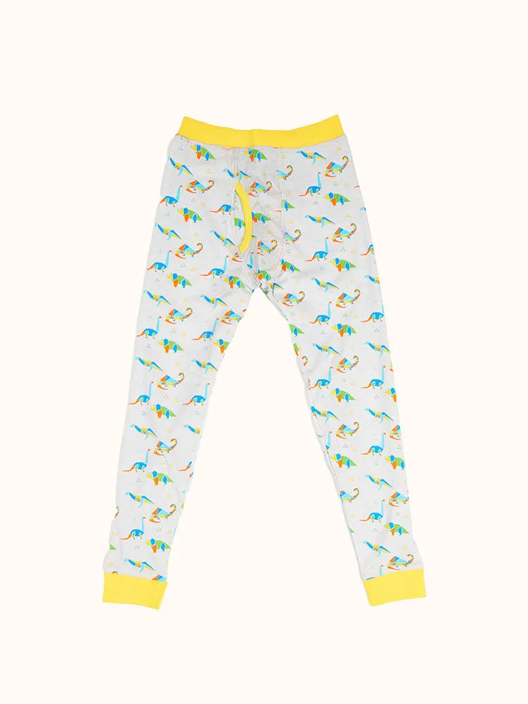 Boys' Geo Dino Long Sleeve Organic Cotton Pajama Set