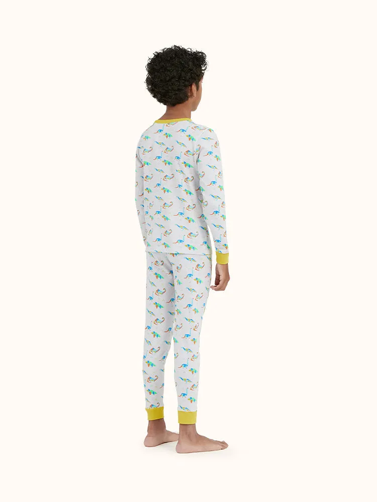 Boys' Geo Dino Long Sleeve Organic Cotton Pajama Set